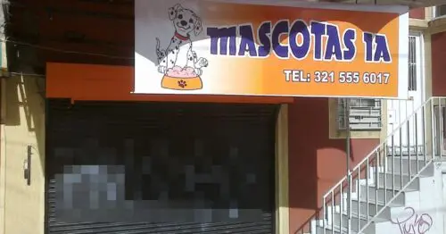 MASCOTAS 1A MASCOTAS 1A